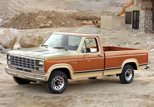 FORD F-150 1981 PROBLEMAS